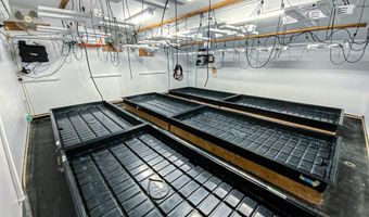 Fickle Hill Road, Arcata, CA 95521