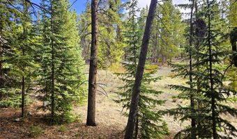 PCS # 7765 & 12057 Rollies Trail lot 0, Alma, CO 80420