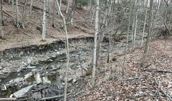 VL Lot 10 Brennan Road, Addison, NY 14801