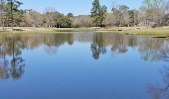 461 Country Club Dr W Lot 22, Arapahoe, NC 28510