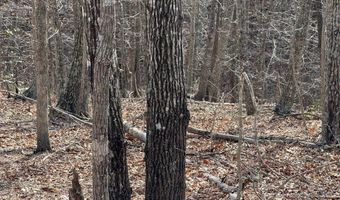 Lime Plant Road lot 6, Appomattox, VA 24522