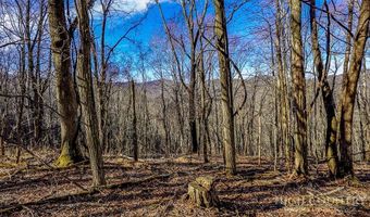 Little Tree Lane, Banner Elk, NC 28604
