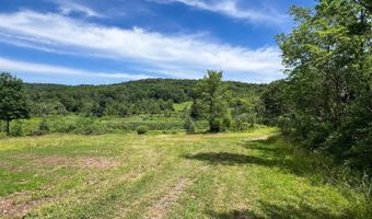 0 Woodland Hills Rd, Andes, NY 13731