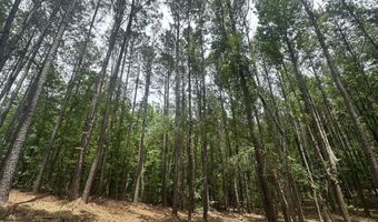Ridge Road lot E, Appling, GA 30802