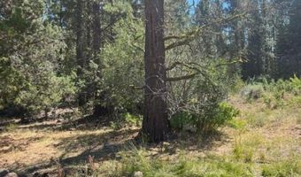 002 Ash Vly, Adin, CA 96006