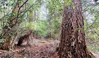 614 HASSETT St, Brookings, OR 97415