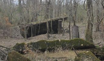 U.S. Highway 51, Bogue Chitto, MS 39629