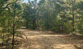 Tract B 266 Gallina Canyon Road, Valdez, NM 87580