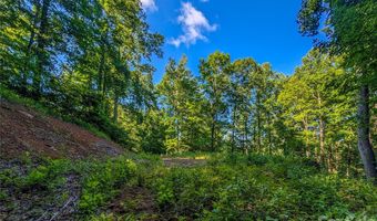 Amber Ranches 47, Bakersville, NC 28705