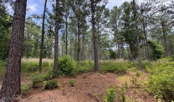 Fox Paw Court, Branchville, SC 29432