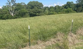 19 27 Acres County Road 656, Anderson, AL 35610