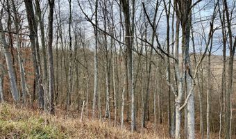 16749 Mush Run Rd, Athens, OH 45701