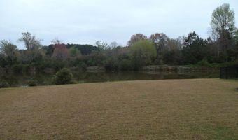 45 Pennyroyal Way, Beaufort, SC 29906