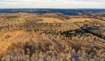 208 Cabin Rd, Ava, MO 65608