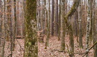 Maddox Road, Ackerman, MS 39735