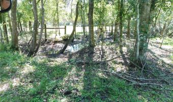 2221 NW PINE VIEW Rd, Arcadia, FL 34266