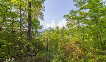 1200 Tobacco Branch Rd, Almond, NC 28702