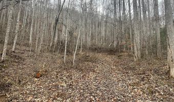 Martins Creek Road, Barnardsville, NC 28709