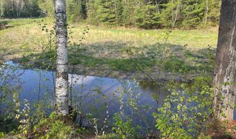 2706 Birchview, Alger, MI 48610