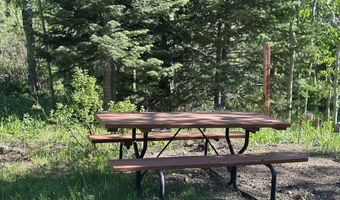 84 County Road 113 S, Allenspark, CO 80510