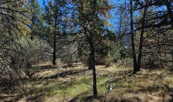 Jaguar Lane 29, Bonanza, OR 97623