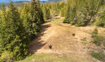 348 Spyglass Hill Rd, Careywood, ID 83809