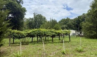 4760 NW 55th Ave, Bell, FL 32619