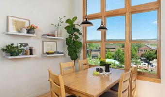 231 Robinson St 320, Basalt, CO 81621