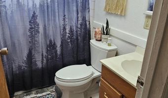 202 Kingston Rd, Austin, NV 89310