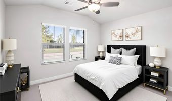 1113 Gardendale Hollow Ln, Anna, TX 75409