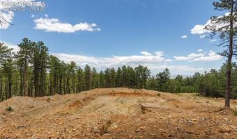 8719 Ponderosa Pine Dr, Beulah, CO 81023