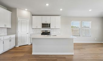 1744 Gardendale Hollow Ln, Anna, TX 75409