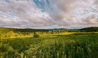 0 Weidick Rd, Andes, NY 13731