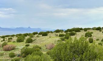 Tract 56 Sierra La Rana, Alpine, TX 79830