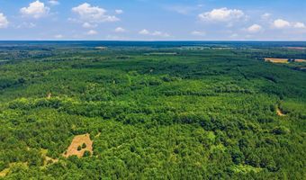 Harry Priddy Road, Americus, GA 31719