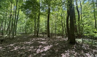 V/L 43.5A 104th Avenue, Allegan, MI 49010