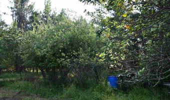 9537 LAKEVIEW, Alanson, MI 49706