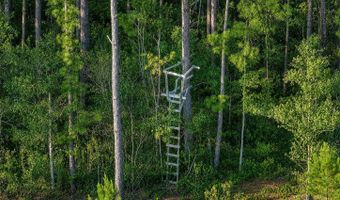 Whiteville Road NW lot 1, Ash, NC 28420