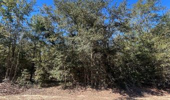 20 Ac Coot Adams Rd, Ashford, AL 36312