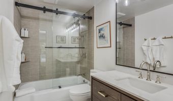 731 S Mill St 3A, Aspen, CO 81611