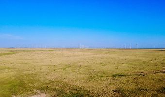 Oldham County Grass +/- 1 478, Adrian, TX 79001