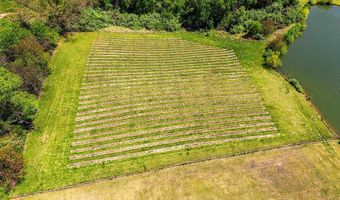80 NARMADA Ln, Amissville, VA 20106