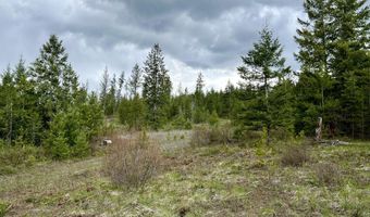 12 Ac Elizabeth Ln, Athol, ID 83801