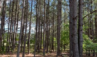 272 Church Camp Rd, Bishopville, SC 29010