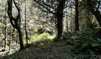 95629 CAPE FERRELO Rd, Brookings, OR 97415