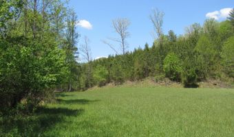 63 Sugar Hill Tunnel Rd, Amherst, VA 24521