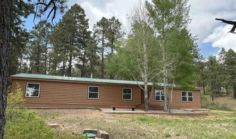 627 Blue Ridge Dr, Bayfield, CO 81122