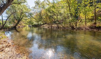 11504 Grapefield Rd, Bastian, VA 24314