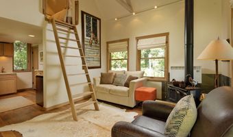 99 Shady Ln, Aspen, CO 81611