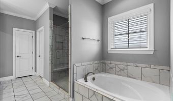 10211 Stellata Ln, Apison, TN 37302
